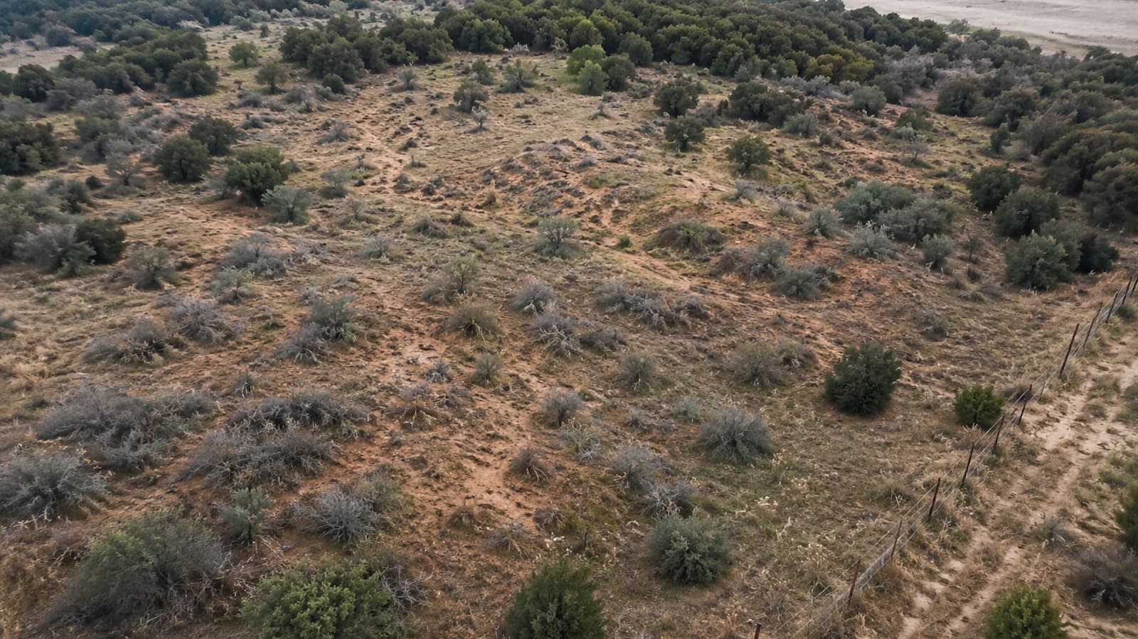 Aerial of a raw undeveloped lot, scrub trees, rough uneven terrain, no grading